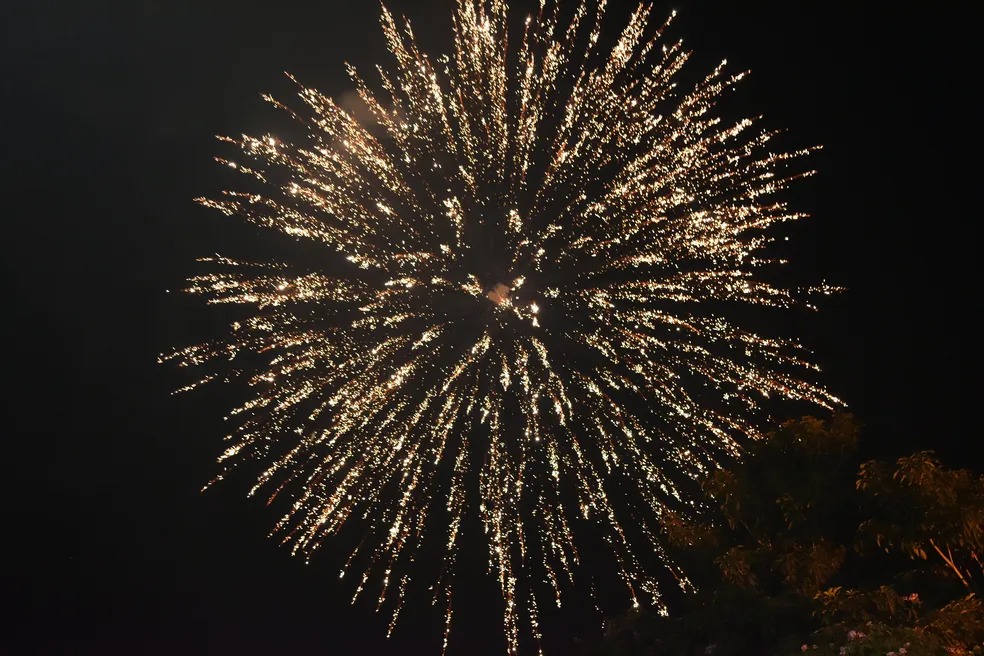 Cidade de SC proíbe fogos com barulho e multa pode chegar a R$ 5 mil