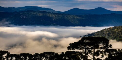Frio intenso derruba temperaturas e SC amanhece com risco de geada nesta segunda