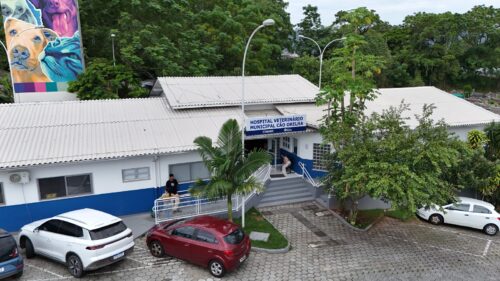 Hospital veterinário gratuito de Florianópolis explode em atendimentos no primeiro mês
