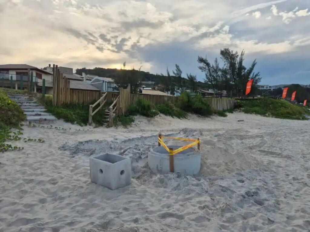 Justiça barra iluminação em praia de Garopaba e acende alerta ambiental