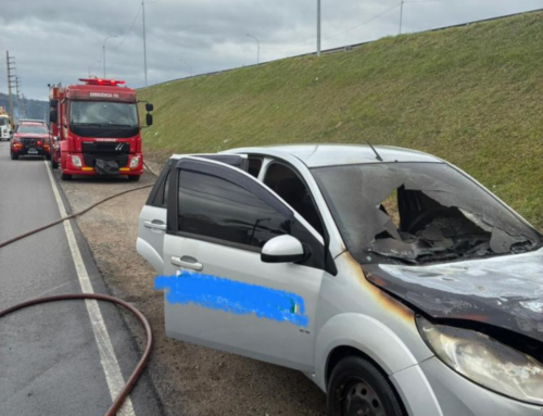 Motorista vê fumaça e carro pega fogo às margens da BR-101 em Tubarão