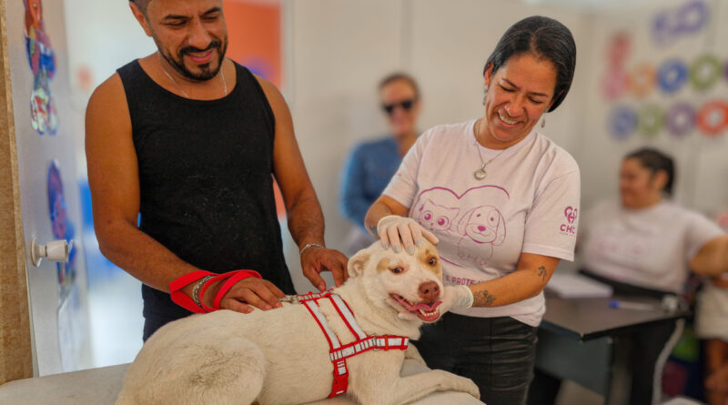 Mutirão gratuito de vacinação para cães e gatos é promovido nesta semana em Navegantes