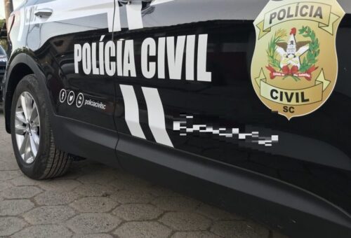 Quadrilha que furtou quase 50 carros é alvo de megaoperação em SC