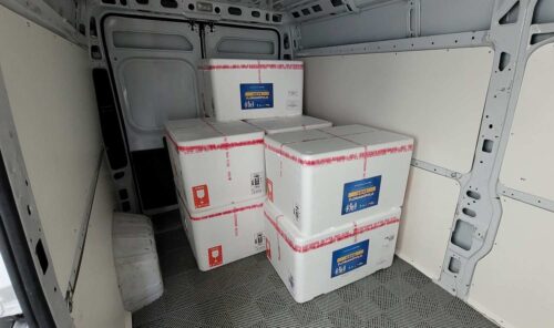 SC recebe mais 328 mil doses da vacina da gripe antes do inverno