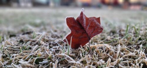 Santa Catarina terá frio de até 0°C e risco de geada nesta quinta
