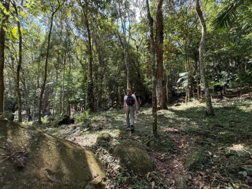 Projeto conjunto de roteiro agroturístico para 2026 será apresentado em Itapema