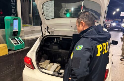 Carregamento de 50 quilos de maconha vindo de Curitiba é apreendido na BR-101 em Porto Belo