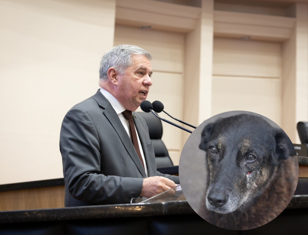 Caso Orelha: ganha novo capítulo CPI é protocolada para investigar morte do cão - Foto: Divulgação/Daniel Conzi/Agência Alesc
