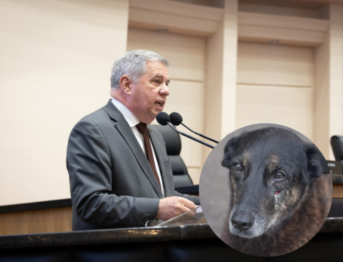 Caso Orelha ganha novo capítulo: CPI é protocolada para investigar morte do cão