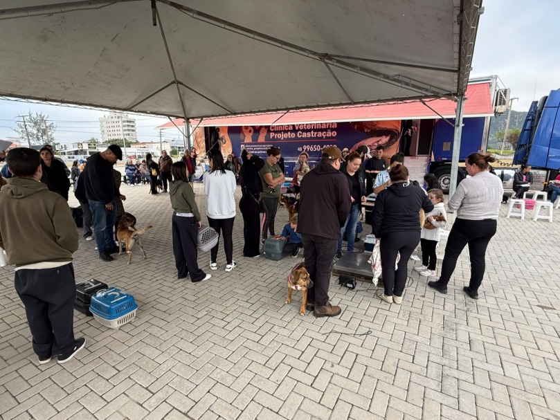 Castração gratuita em Imbituba começa e beneficia cães e gatos