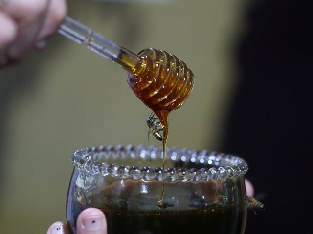 Florianópolis recebe Feira do Mel com mais de 300 produtores e preços acessíveis