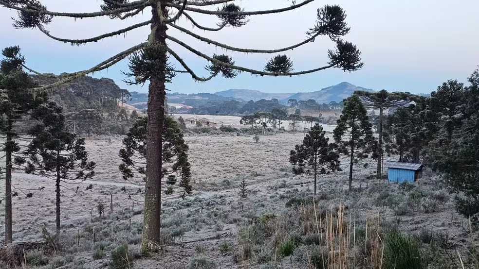 Frio derruba temperaturas abaixo de -6°C e congela cidades de Santa Catarina