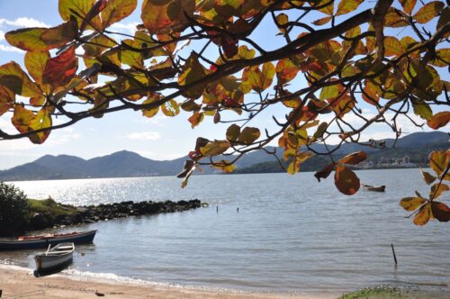 Frio perde força e sábado promete tarde agradável em Santa Catarina; veja a previsão