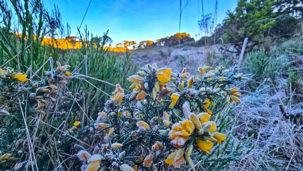 Frio quebra recordes em SC e cidade registra impressionantes -7,3°C