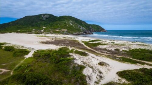 Impasse ambiental em Florianópolis leva Justiça a endurecer contra a Floram