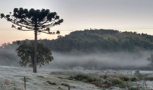 Inverno começa com frio intenso e chance de neve em Santa Catarina