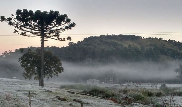 Inverno começa com frio intenso e chance de neve em Santa Catarina