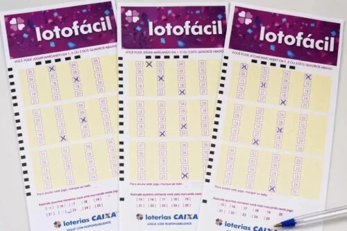 Lotofácil premia seis apostas e divide prêmio milionário; veja os números sorteados