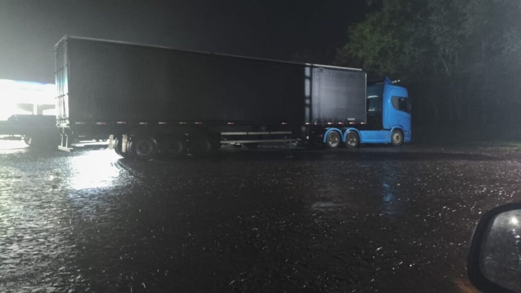 PF intercepta caminhão com oliveiras centenárias contrabandeadas na fronteira