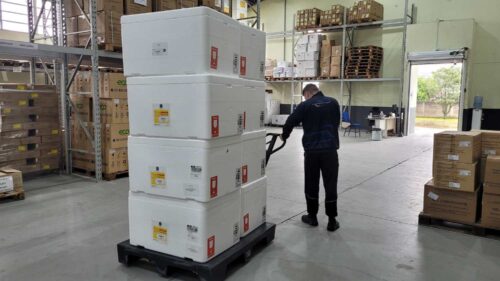 SC recebe mais 304 mil doses da vacina da gripe após 56 mortes por Influenza