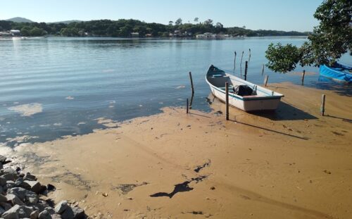Teste de R$ 6 pode antecipar alerta de maré vermelha em SC