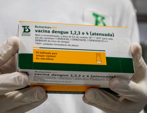 Vacinação contra dengue é temporariamente interrompida após notificações de reações adversas