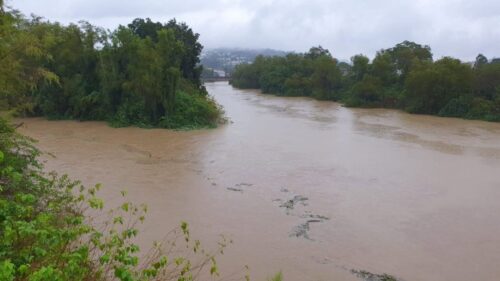 Corpo é encontrado boiando no Rio Itajaí-Açu em Itajaí