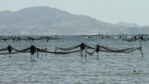 Após mais de 20 anos de espera, pesca do camarão ganha novas regras em SC
