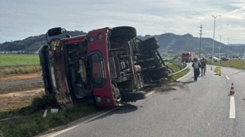 Caminhão tomba e frangos invadem rodovia em Tubarão