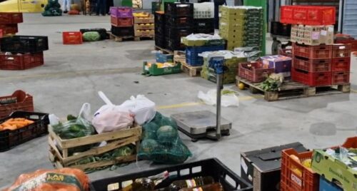 Ceasa de Tubarão já distribuiu 44 toneladas de alimentos e ajuda 1,2 mil pessoas por mês