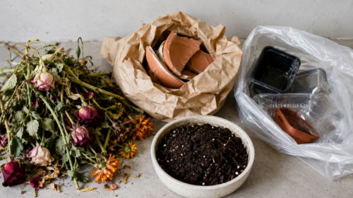 Como descartar flores, plantas, vasos e embalagens de floricultura do jeito certo