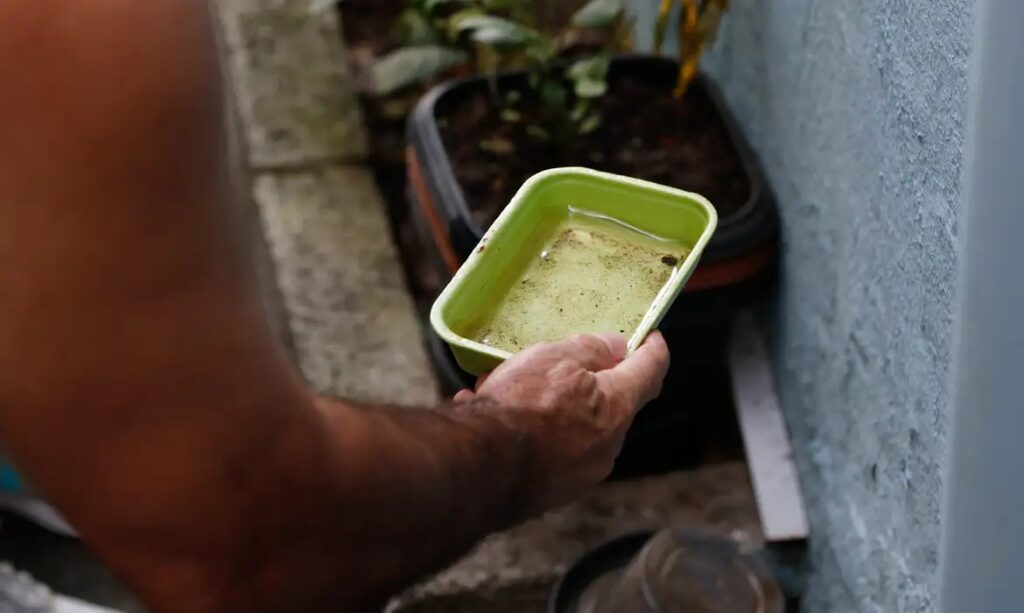 El Niño pode elevar risco de dengue; Brasil pode ter 1,7 milhão de casos