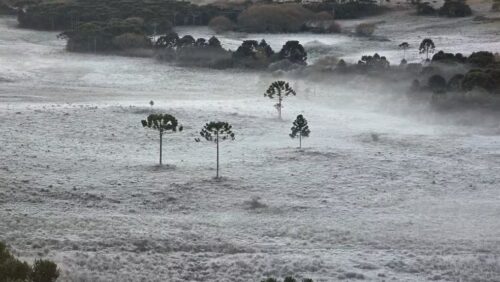 Frio derruba temperaturas em Santa Catarina; cidade registra apenas 3,4°C