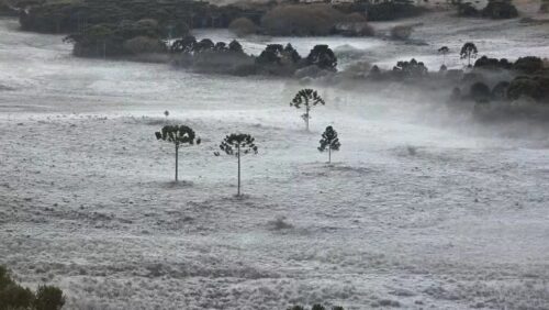 Frio intenso derruba temperaturas em SC e alerta acende para risco à saúde