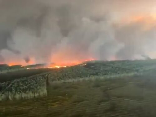 Incêndios fora de controle forçam retirada de 220 mil pessoas na França