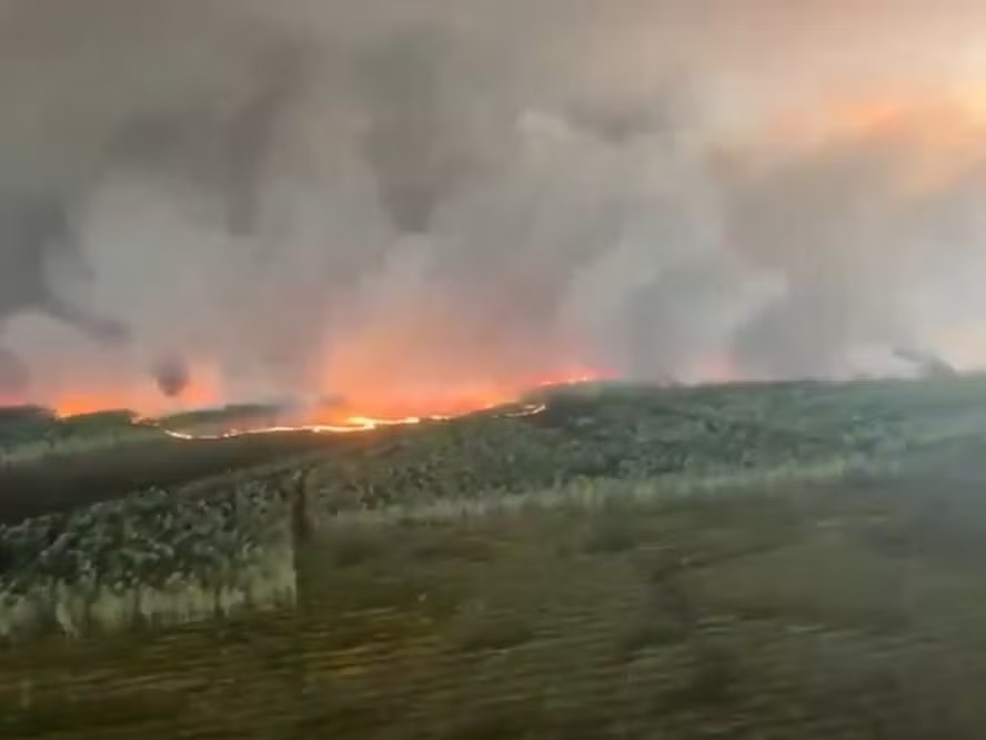 Incêndios fora de controle forçam retirada de 220 mil pessoas na França