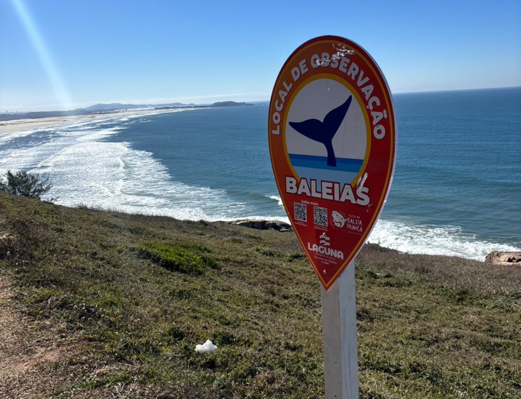 Laguna instala novas placas para destacar surfe, botos e baleias; veja onde