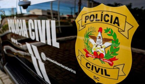 Polícia encontra laboratório com 187 pés de maconha e faz descoberta durante operação em Blumenau