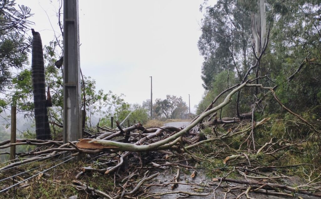 Temporais em SC deixam 463 desalojados e três cidades decretam emergência