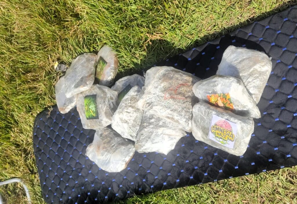 Cerca de 30 kg de drogas são apreendidos escondidos em caixa de som e compartimentos ocultos de veículo na BR-101 em Joinville