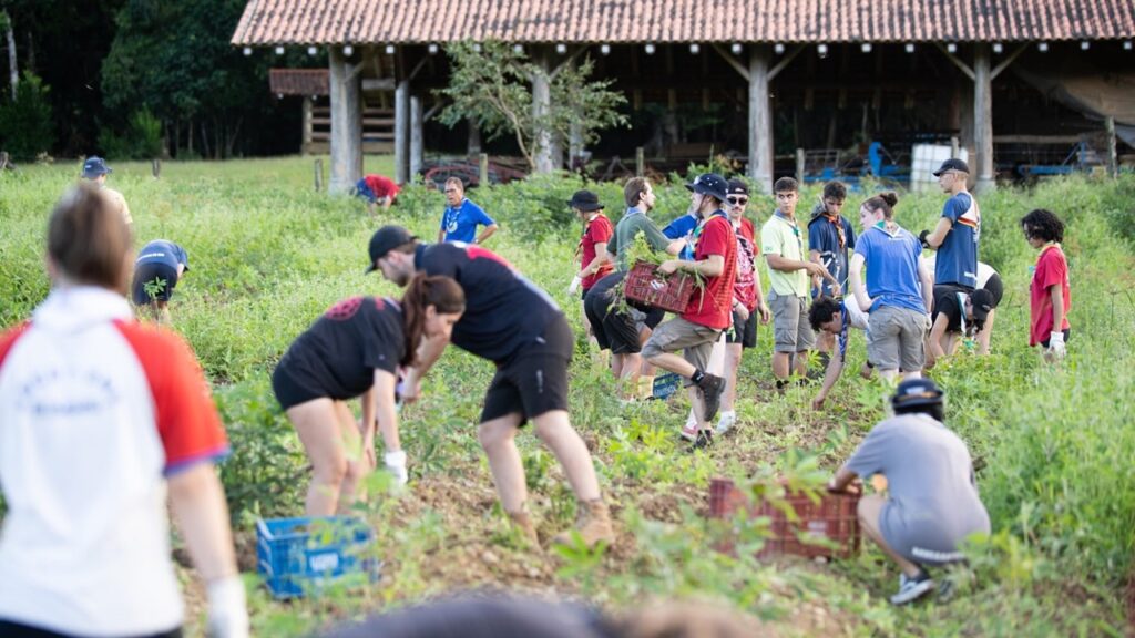Escoteiros promovem ações sociais e ambientais neste fim de semana em Itajaí durante o Mutirão Regional Pioneiro