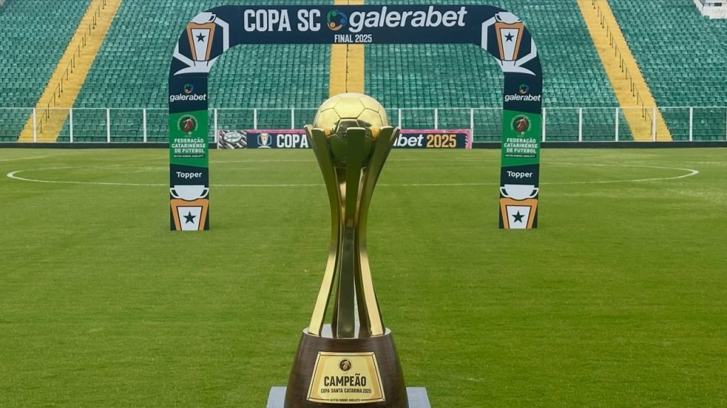 Guia da Copa SC: confira como chegam os nove times para a disputa. - Foto: Divulgação/FCF