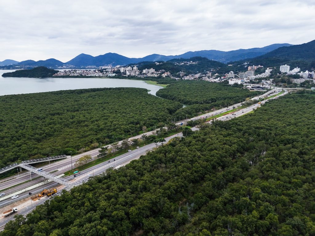 Avenida da Saudade terá bloqueio total nesta terça em Florianópolis - Foto: Divulgação/PMF
