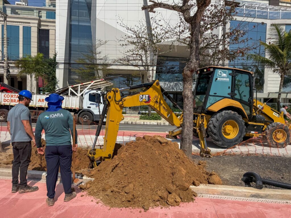 Balneário Camboriú começa transplante de árvores na nova orla