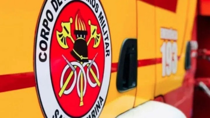 Cachorro fica preso no forro de casa e resgate dos bombeiros chama atenção em Florianópolis