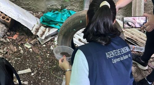 Capivari de Baixo confirma primeiro caso de dengue transmitido no município em 2026