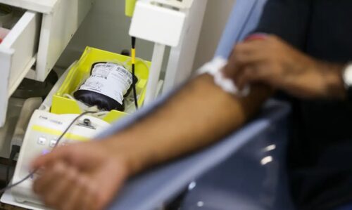 Cocal do Sul faz força-tarefa para reunir 100 doadores de sangue; veja como participar
