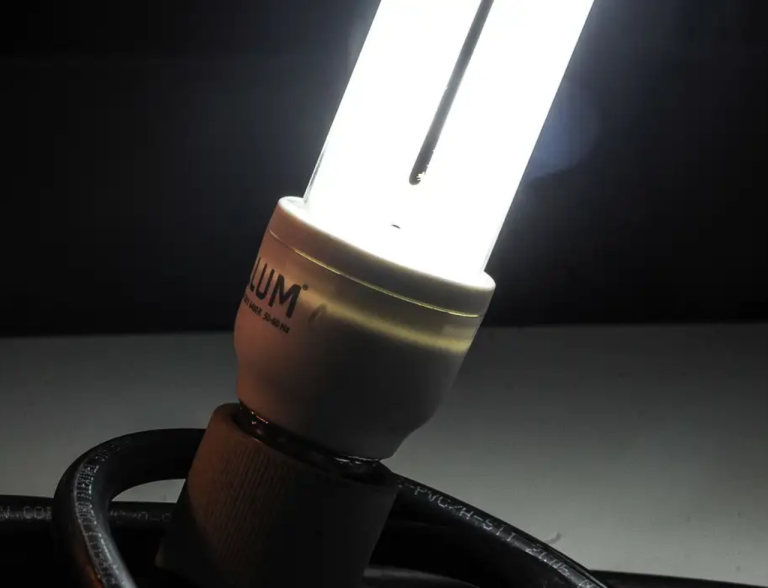Conta de luz terá cobrança extra em setembro; veja o valor