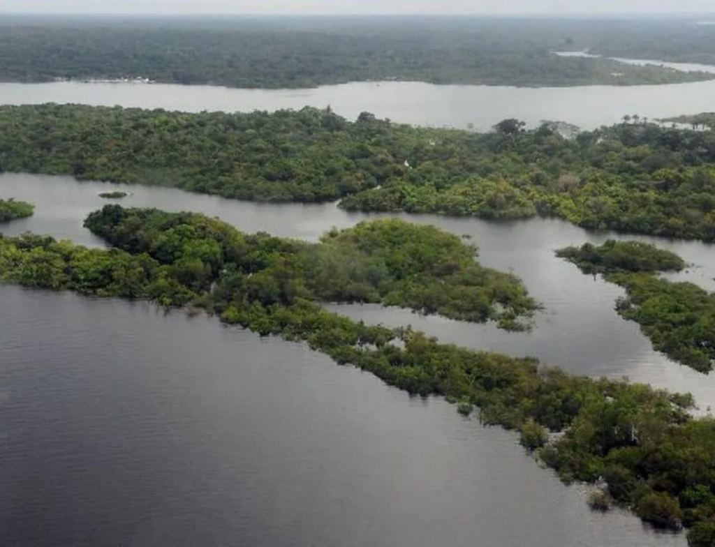 Desmatamento na Amazônia despenca e atinge menor nível em 10 anos