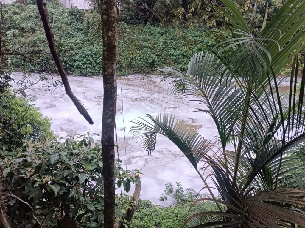 Espuma é encontrada no Rio Jaraguá e água passa por análise